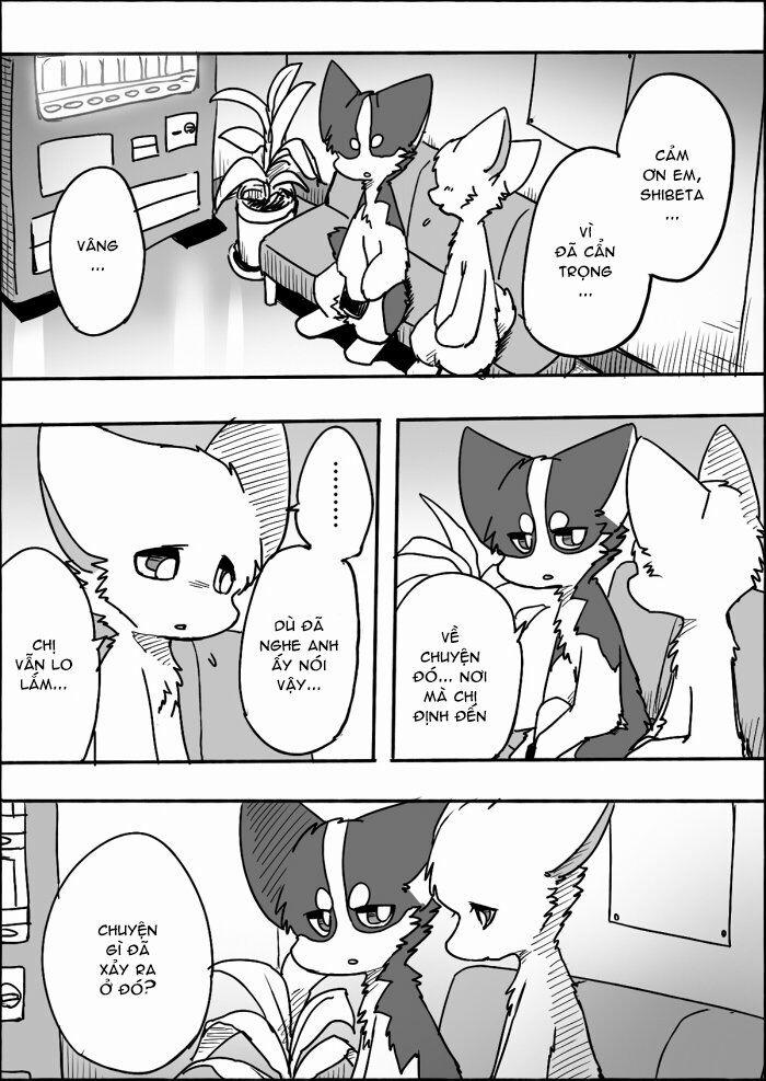 Helper Shibeta 12 trang 5