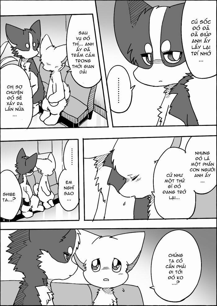 Helper Shibeta 12 trang 8