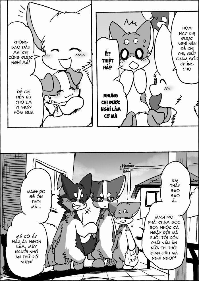 Helper Shibeta 13 trang 12