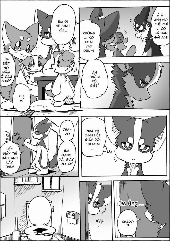 Helper Shibeta 13 trang 13