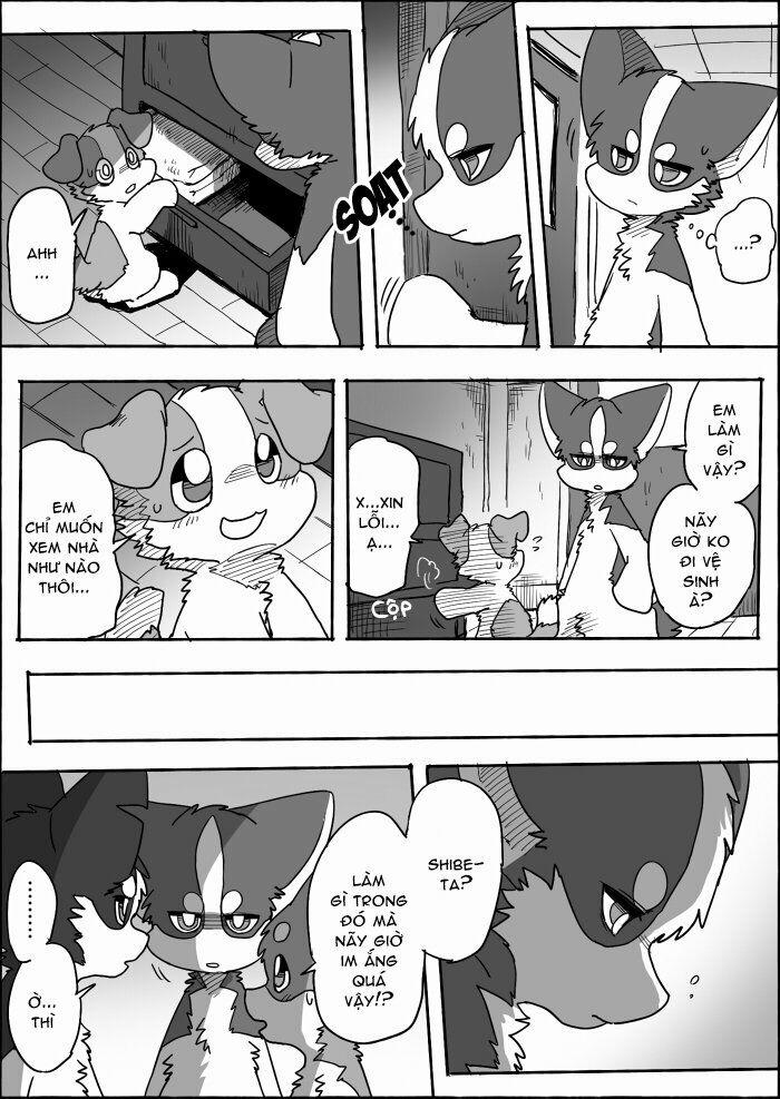 Helper Shibeta 13 trang 14