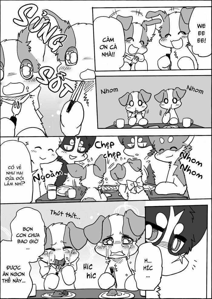 Helper Shibeta 13 trang 17