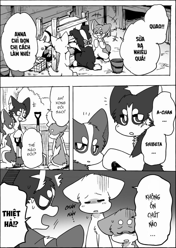 Helper Shibeta 14 trang 13