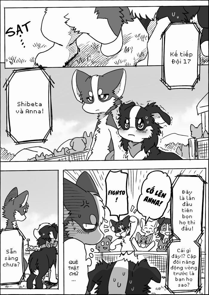 Helper Shibeta 15 trang 39