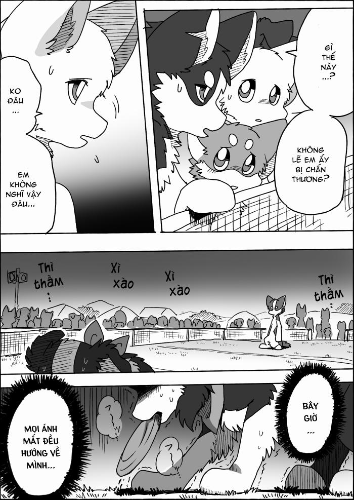 Helper Shibeta 15 trang 43