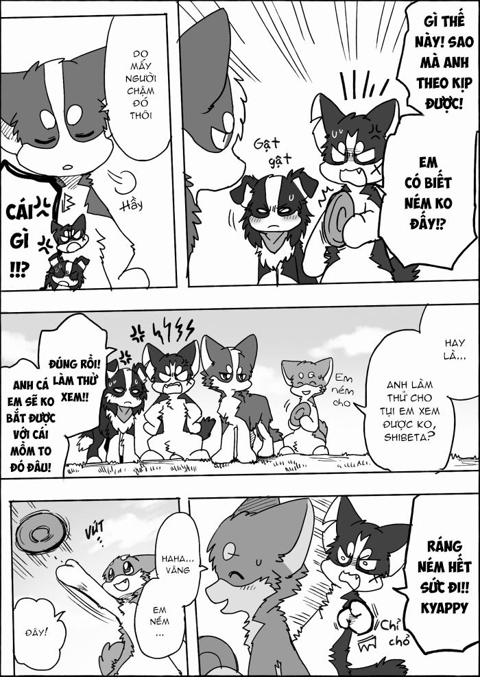 Helper Shibeta 15 trang 5