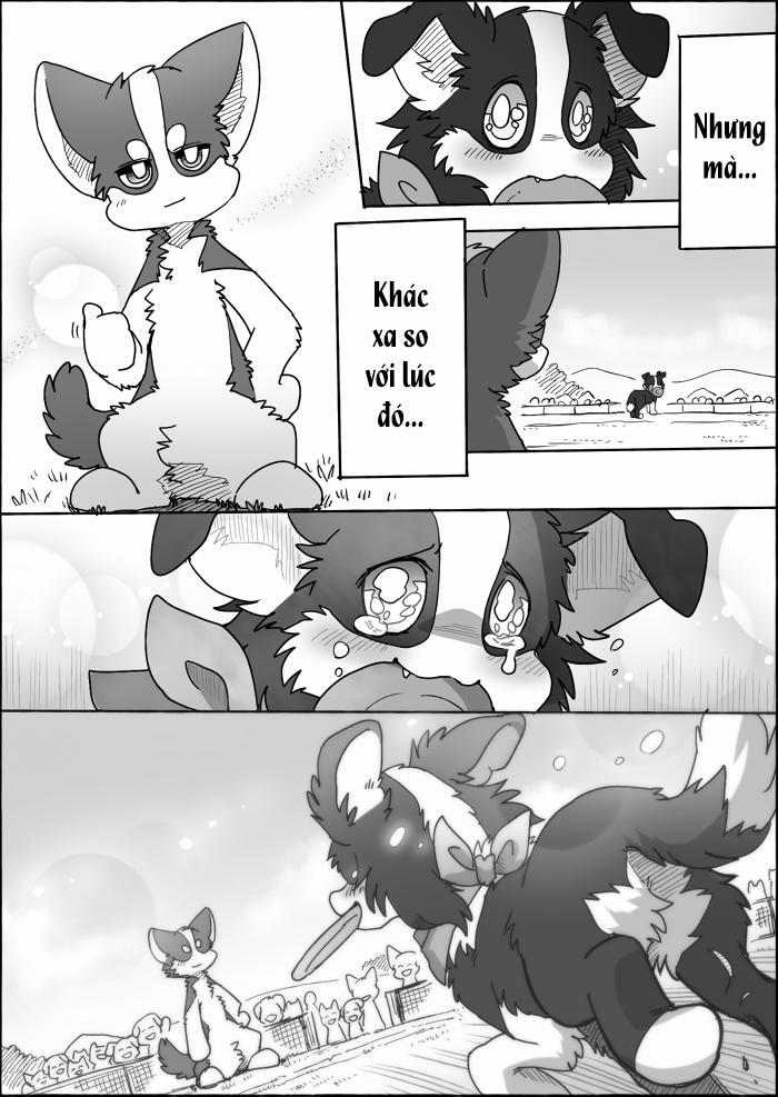 Helper Shibeta 15 trang 52