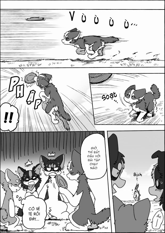 Helper Shibeta 15 trang 6