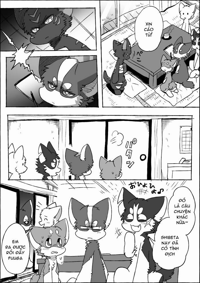 Helper Shibeta 19 trang 17