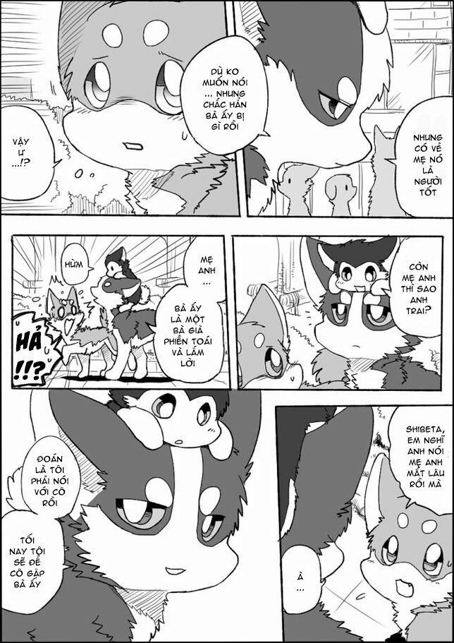 Helper Shibeta 2 trang 11