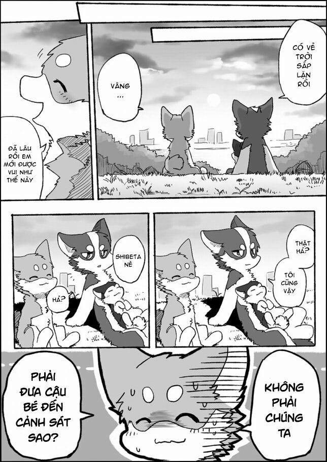 Helper Shibeta 2 trang 19