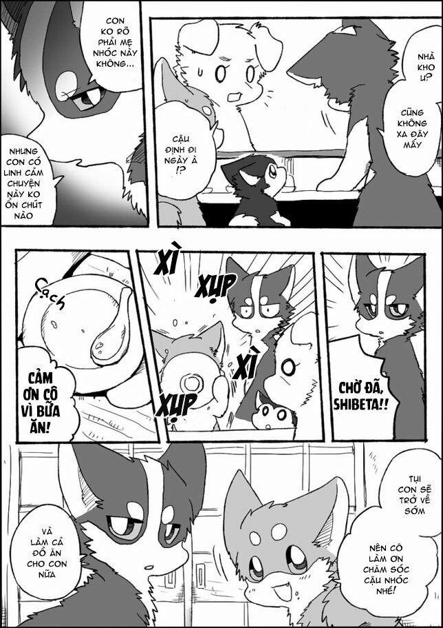 Helper Shibeta 2 trang 27