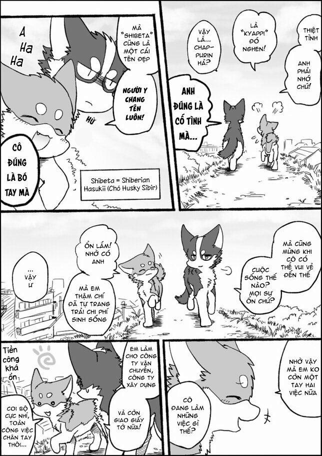 Helper Shibeta 2 trang 4