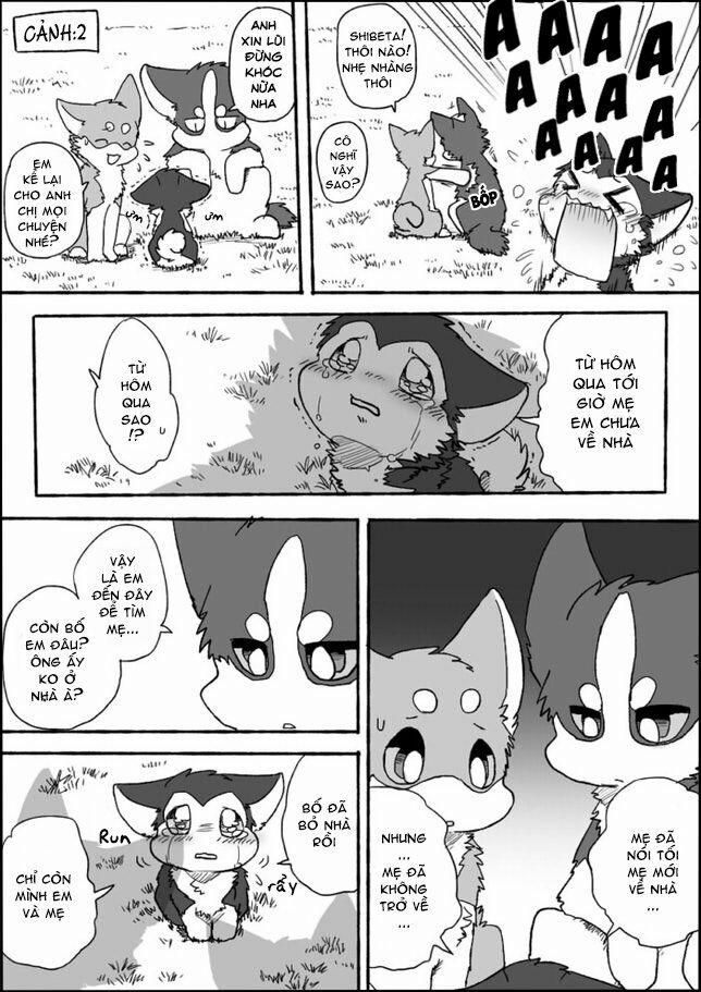 Helper Shibeta 2 trang 7