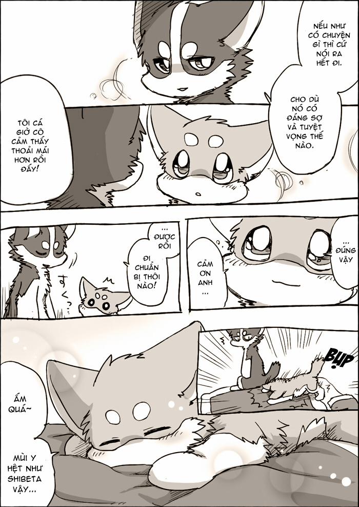 Helper Shibeta 3.5 trang 9