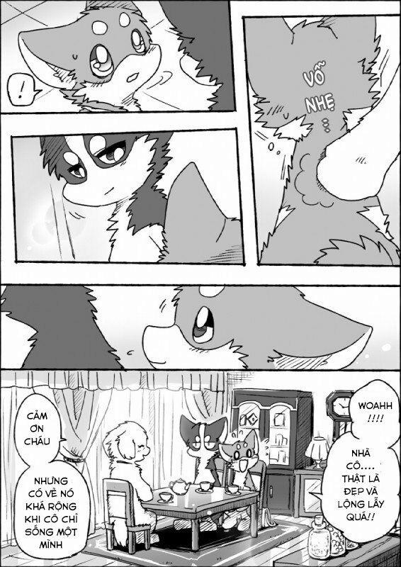 Helper Shibeta 3 trang 13