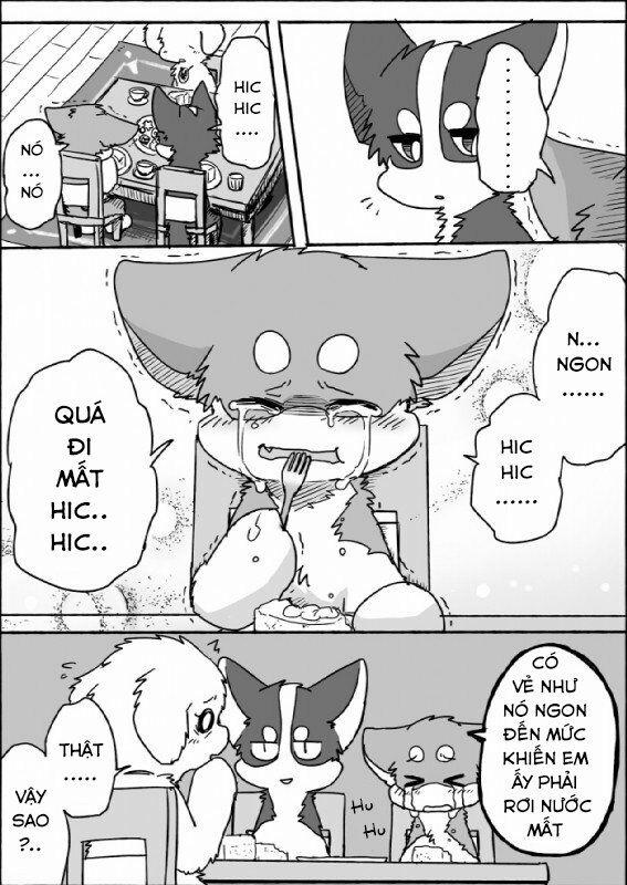 Helper Shibeta 3 trang 22