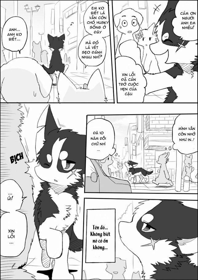 Helper Shibeta 4 trang 10