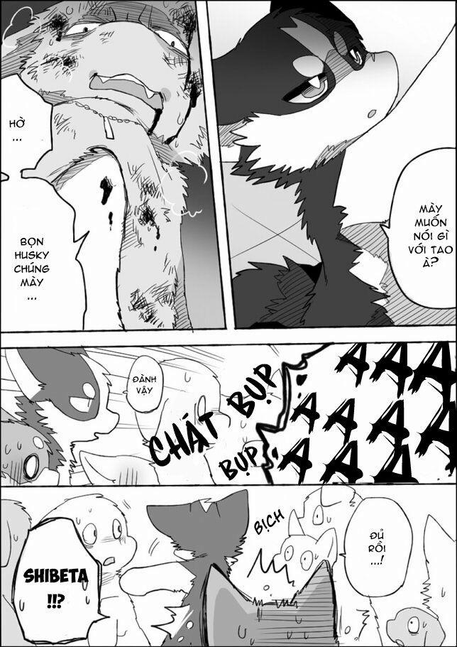 Helper Shibeta 4 trang 13