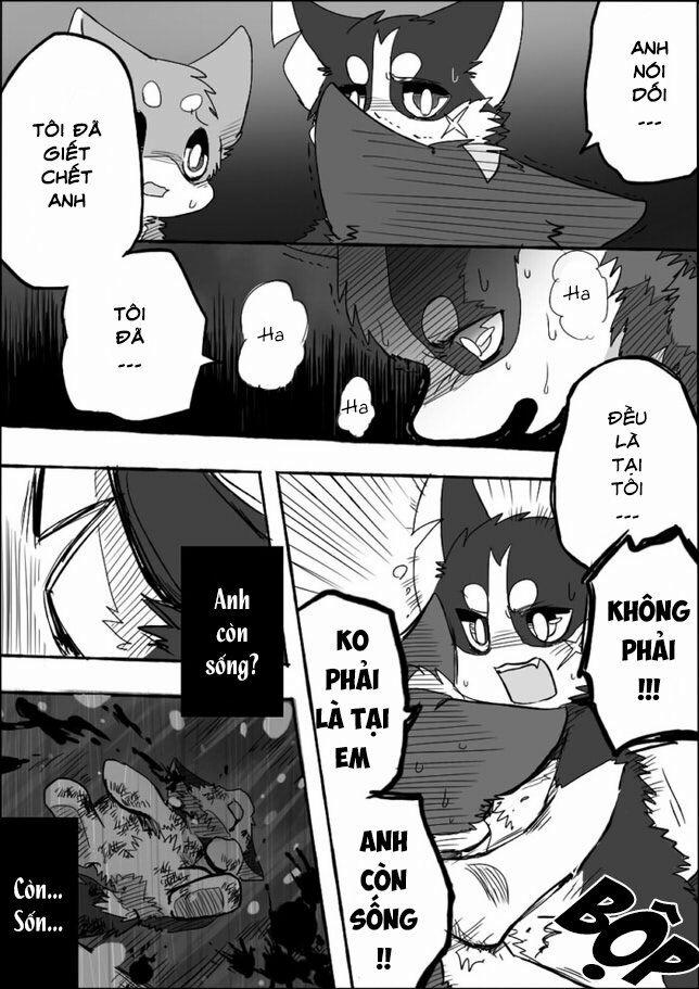 Helper Shibeta 4 trang 21