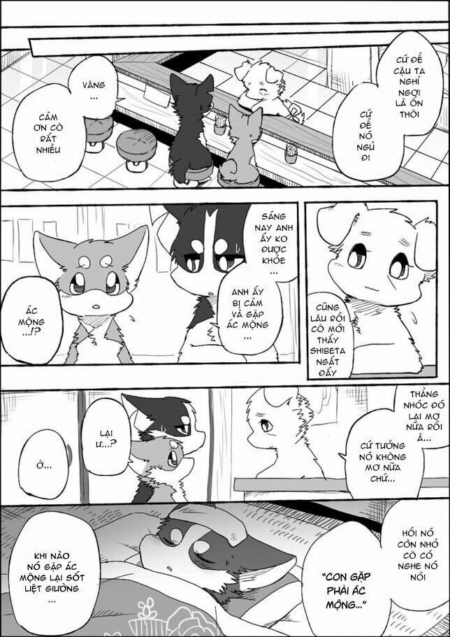 Helper Shibeta 4 trang 24