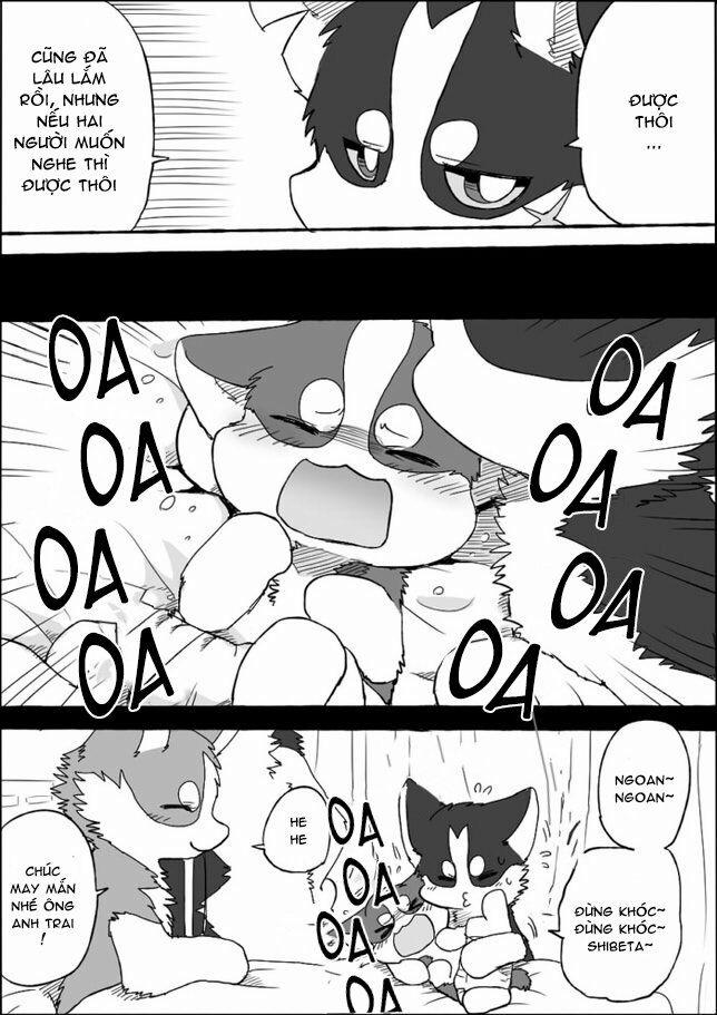 Helper Shibeta 4 trang 27