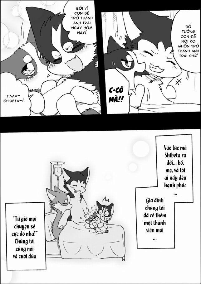 Helper Shibeta 4 trang 28