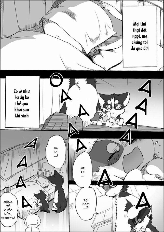 Helper Shibeta 4 trang 29