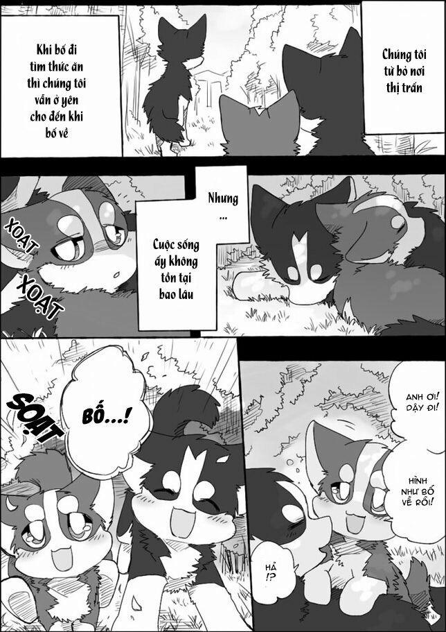 Helper Shibeta 4 trang 35