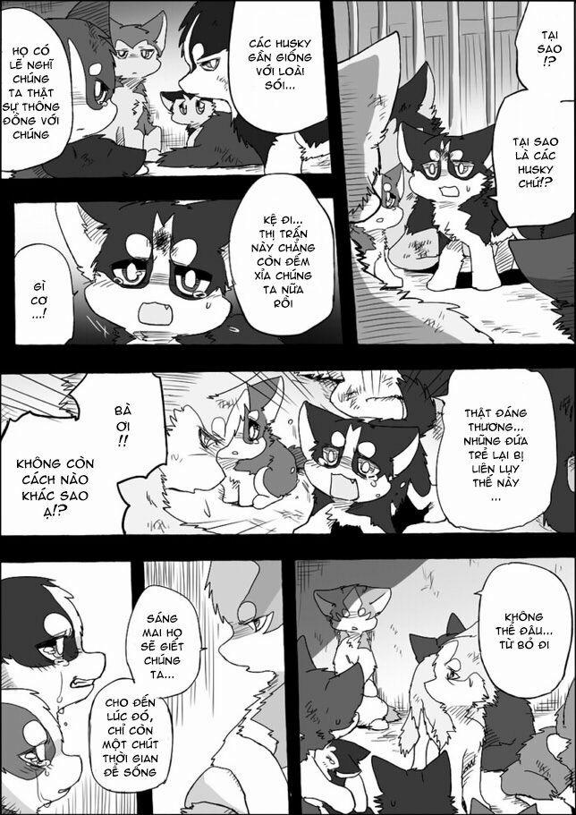 Helper Shibeta 4 trang 39