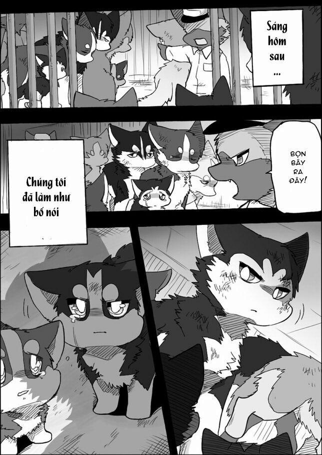 Helper Shibeta 4 trang 42