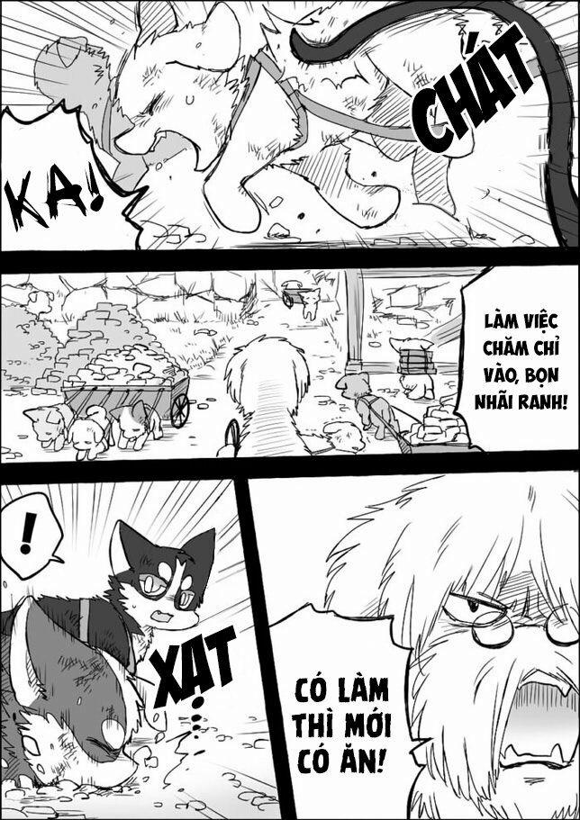 Helper Shibeta 5 trang 12