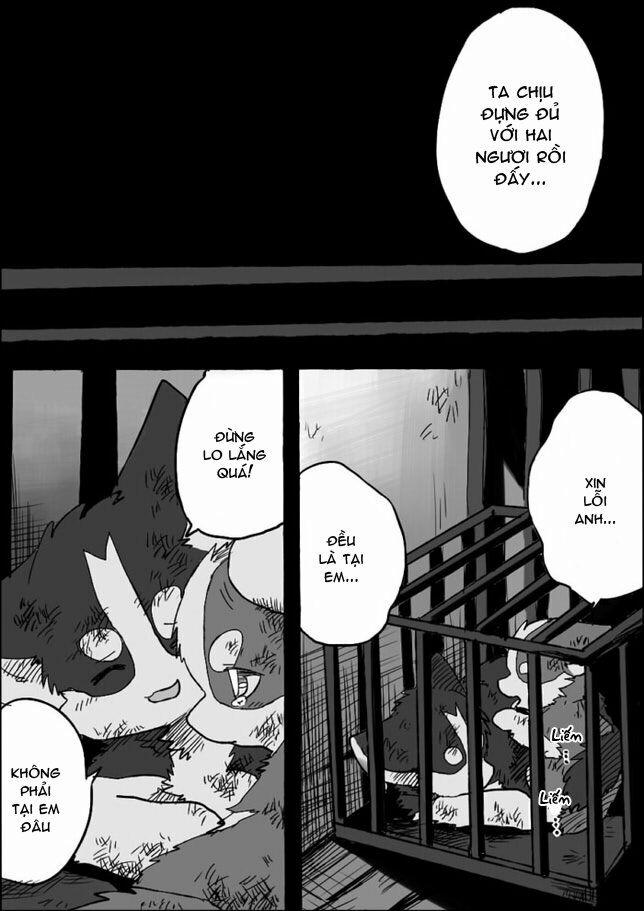 Helper Shibeta 5 trang 16