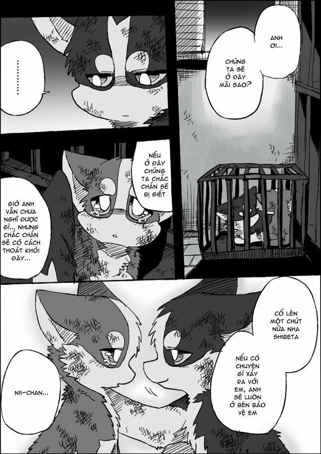 Helper Shibeta 5 trang 17