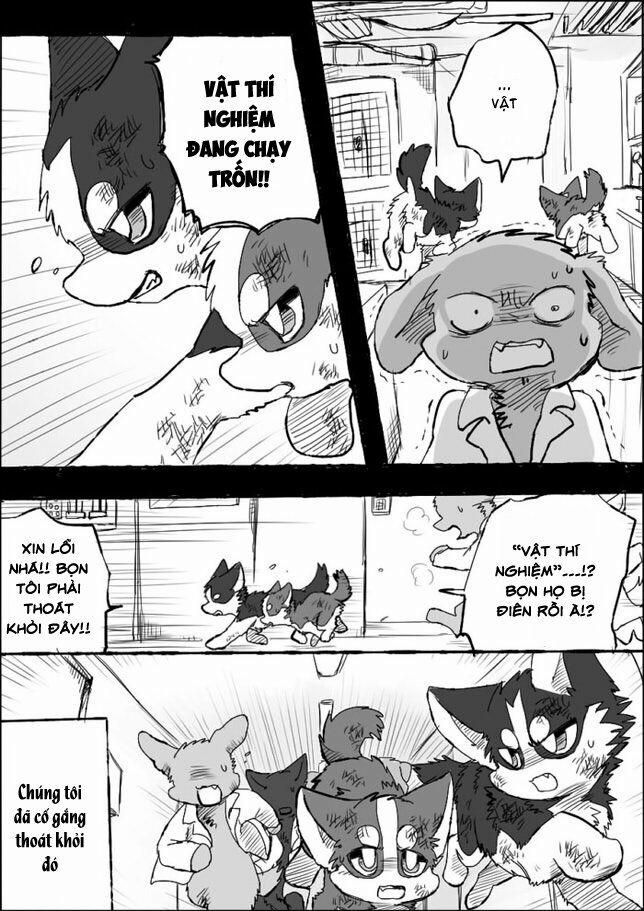 Helper Shibeta 5 trang 26