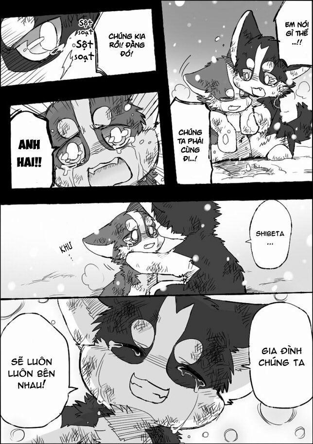 Helper Shibeta 5 trang 28