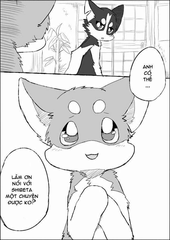 Helper Shibeta 5 trang 35