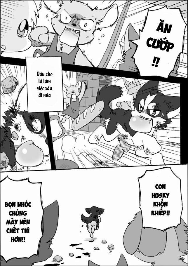 Helper Shibeta 5 trang 4