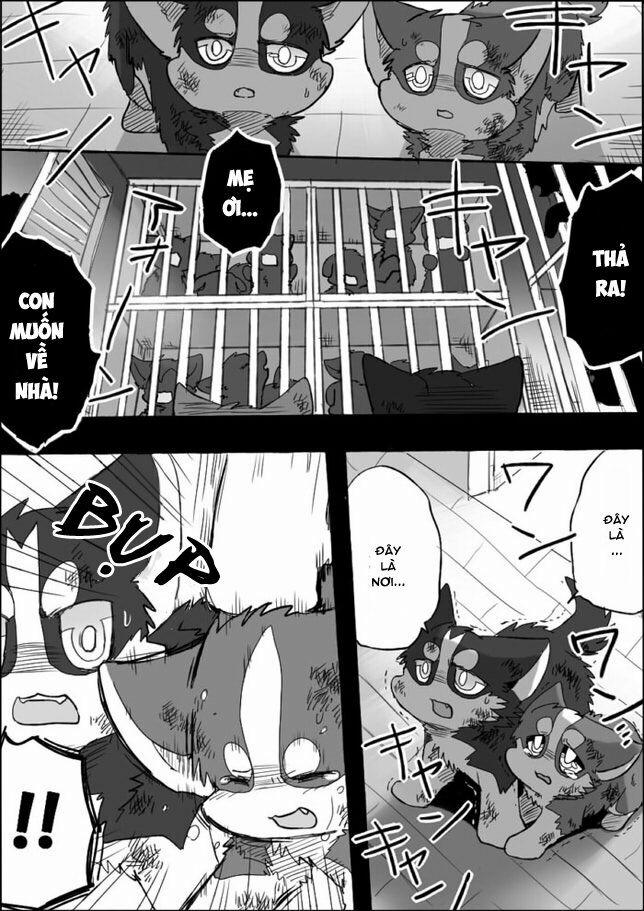 Helper Shibeta 5 trang 9