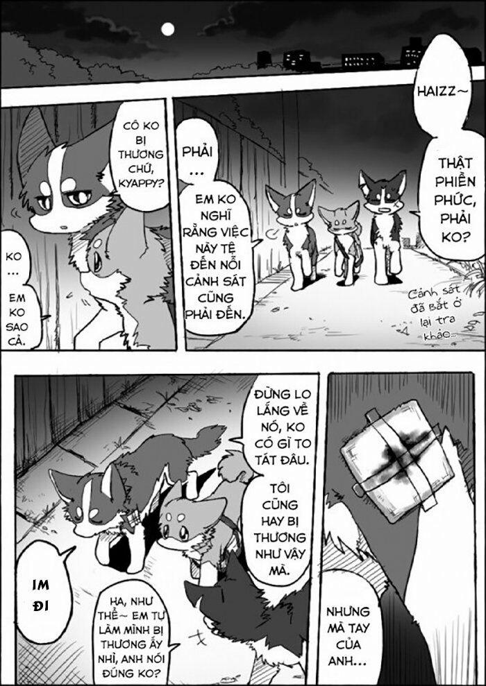 Helper Shibeta 6 trang 13