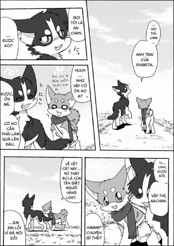 Helper Shibeta 6 trang 22