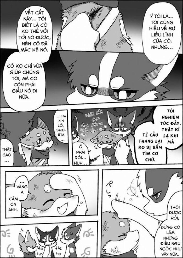 Helper Shibeta 6 trang 37