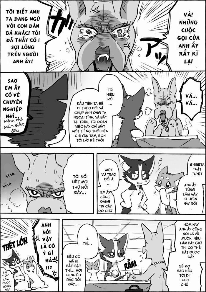 Helper Shibeta 6 trang 6