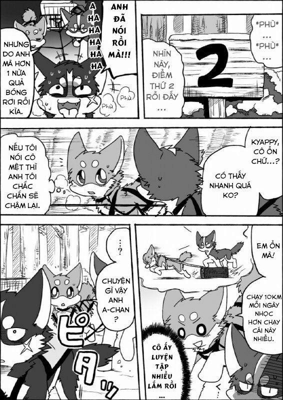 Helper Shibeta 7 trang 12