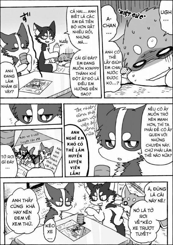 Helper Shibeta 7 trang 2