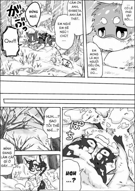 Helper Shibeta 7 trang 23