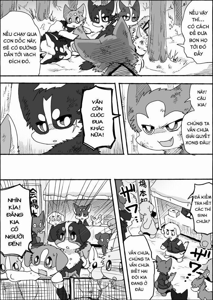 Helper Shibeta 7 trang 26