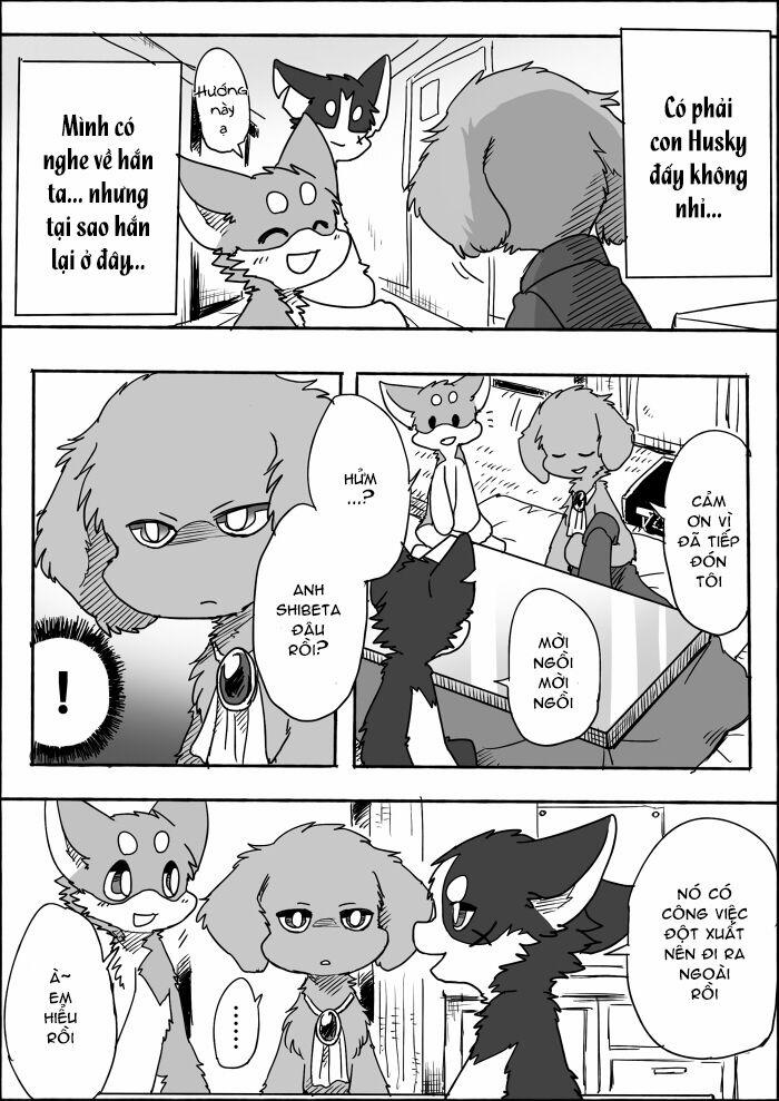 Helper Shibeta 8 trang 15