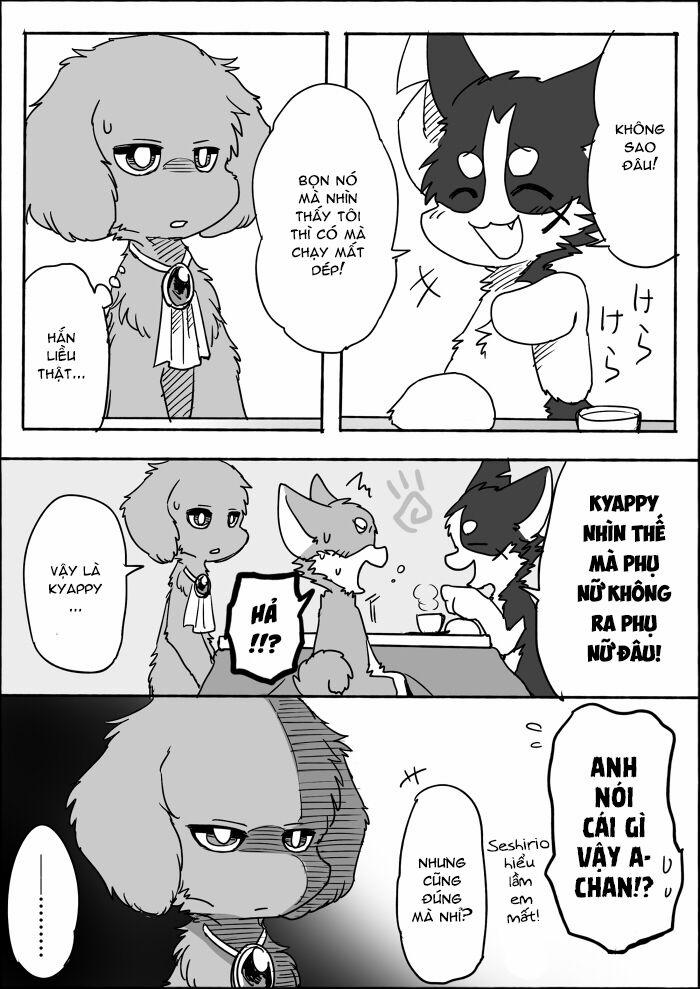 Helper Shibeta 8 trang 19