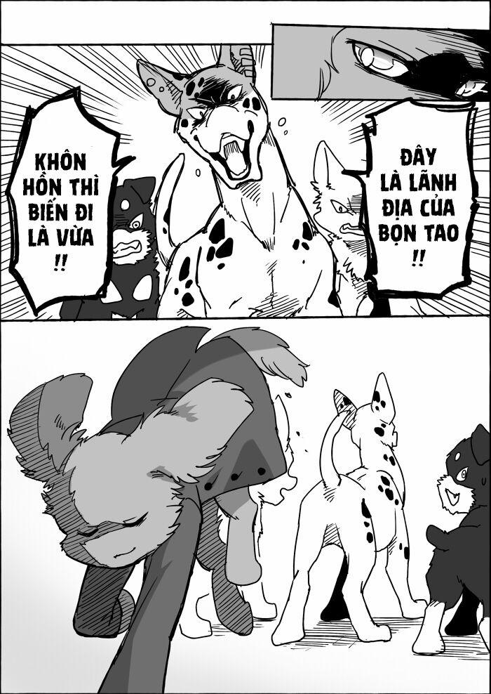 Helper Shibeta 8 trang 34